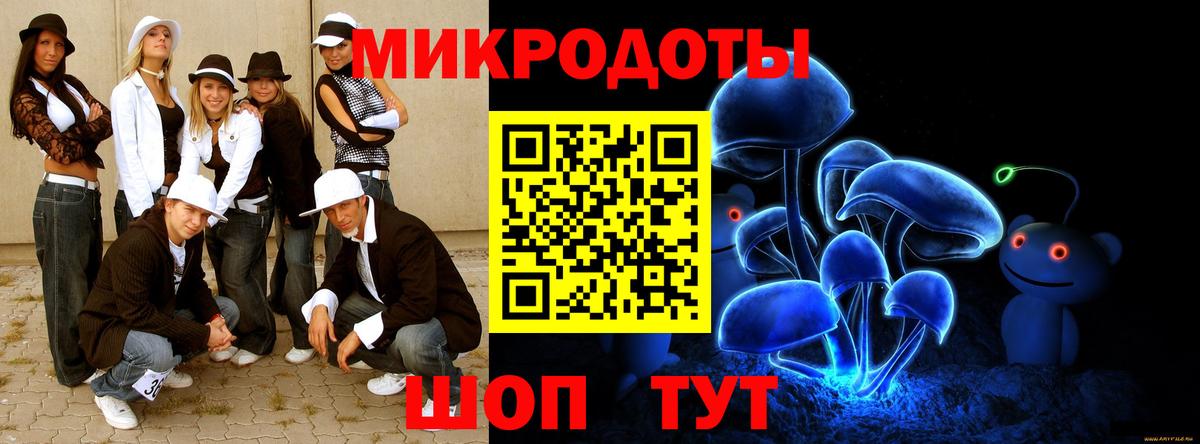 Псилоцибиновые грибы Psilocybe Южно-Сахалинск