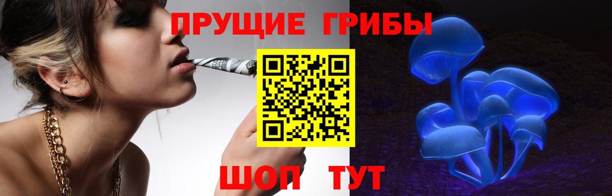 Псилоцибиновые грибы Psilocybine cubensis  Вход с VPN  Южно-Сахалинск 